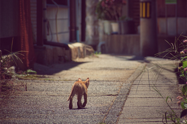 釧路 エムワンネットワーク